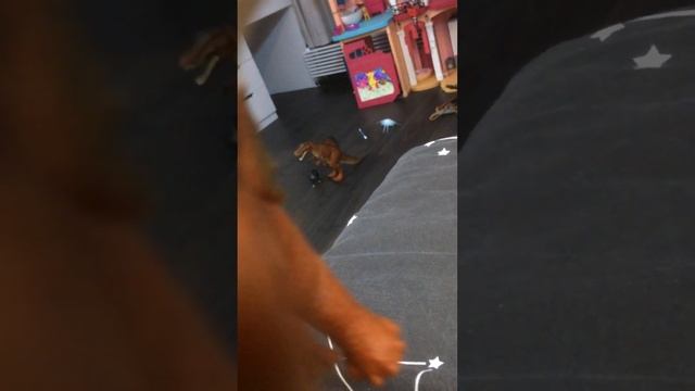 Трицератопс и дилофазавр играют смотреть онлайн