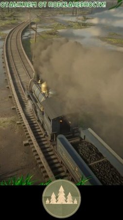 Ролик - RDR2 (18042025 1)