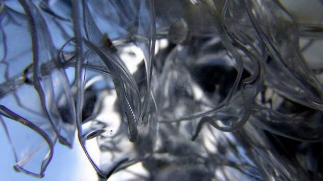 upcycling pet смотреть онлайн