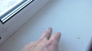 Откуда мусор берется на подоконнике?