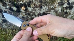 SRM 168L - GW альтернатива Tenacious