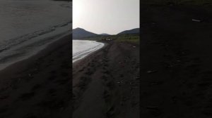 Снова о соседях. Парамушир, бухта Шелехова. 12.08.2021 г.