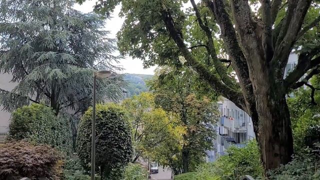 VLOG|САМОЕ НЕОБЫЧНОЕ МЕТРО|ВНЕЗАПНАЯ ПОЕЗДКА|ПРОГУЛКА ПО ВУППЕРТАЛЮ|УБОРКА ДОМА смотреть онлайн