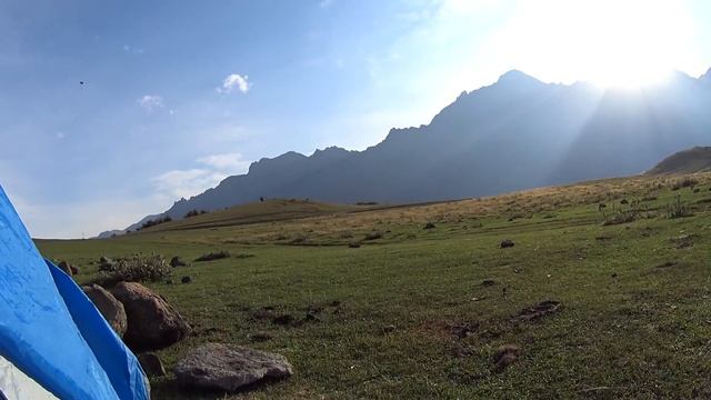 Доброе утро! xD смотреть онлайн