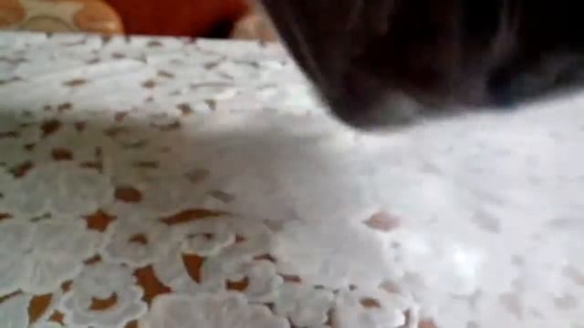 Посылка из Китая #47. Чехол для Explay Rio и качественная сумка через плечо. смотреть онлайн