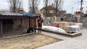 552. Выход из вольера.