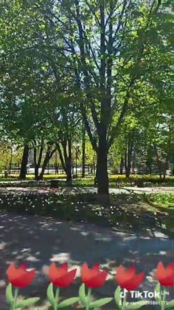 "ТЮЛЬПАНОВОЕ НАСТРОЕНИЕ" 18.04.2025 г. Ростов-на-Дону #тюльпаны #ростовнадону #цветы #апрель