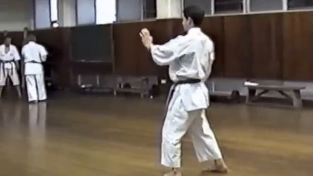 13 Okinawa Goju Ryu Kata смотреть онлайн