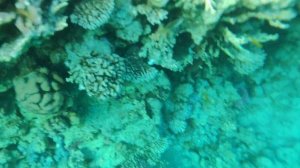 Шарм эль Шейх 2