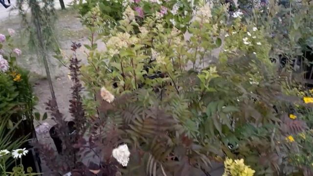 Субботняя уличное торговля. смотреть онлайн