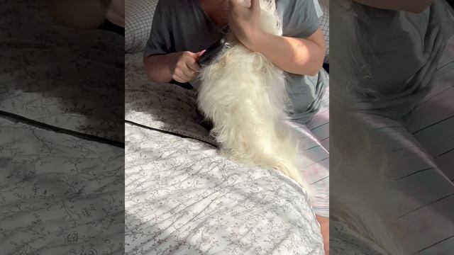 Малыш и Алекс