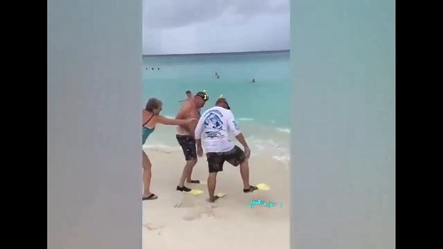 Подборка смешного видео