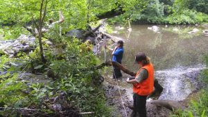 Smitherman's Dam Removal and Little River Restoration Project