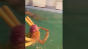 санатория Арман Караганда Сортировка