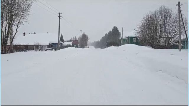 Вологодская область, Сямженский район, деревня Пономариха