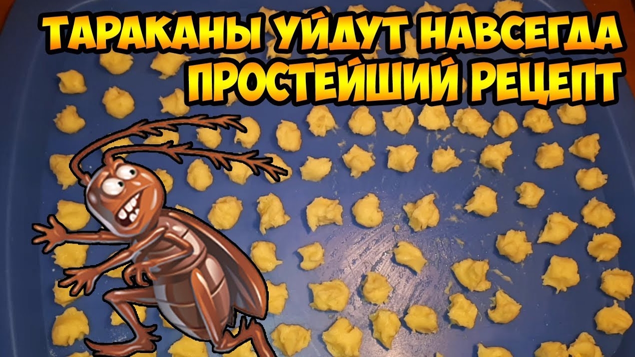 ЛУЧШЕЕ СРЕДСТВО ОТ ТАРАКАНОВ. КАК ИЗБАВИТЬСЯ ОТ ТАРАКАНОВ?