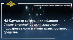 В Камчатском крае сотрудники полиции с применением оружия задержали подозреваемого в угоне машины