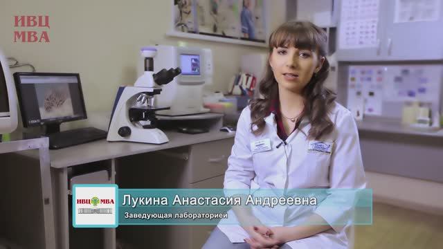 Токсоплазмоз и с чем его едят. Как защитить будущую маму_ Руководитель ветеринарной лаборатории
