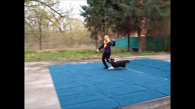 Аня Калинина и Дэй смотреть онлайн