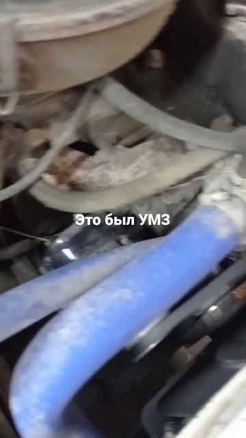 Газель уже динозавр смотреть онлайн