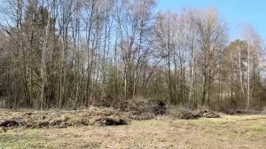 VIDEO-2025-04-18-21-38-56