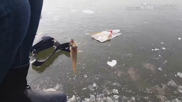 первый лед первая рыбалка