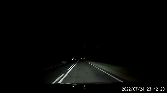 2022-07-24 косуля смотреть онлайн