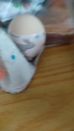 scene_output.mp4