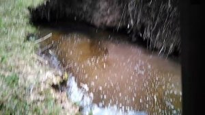 VID_20250418_175233.mp4ричард купается