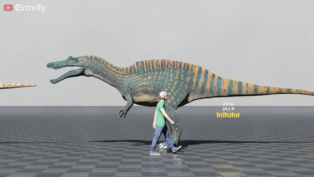 Dinosaurs Size Comparison