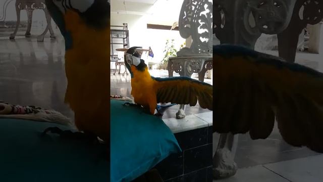 Mitu and fine very beauty میٹو گرمی کی وجہ سے فین کا مزے لے رہا ہے смотреть онлайн