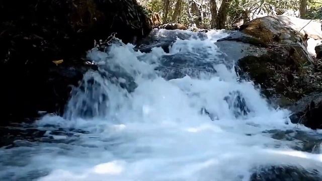 Waterfalls | Amazing Nature Scenery & Relaxing Music for Stress Relief | HD | 4K UHD смотреть онлайн