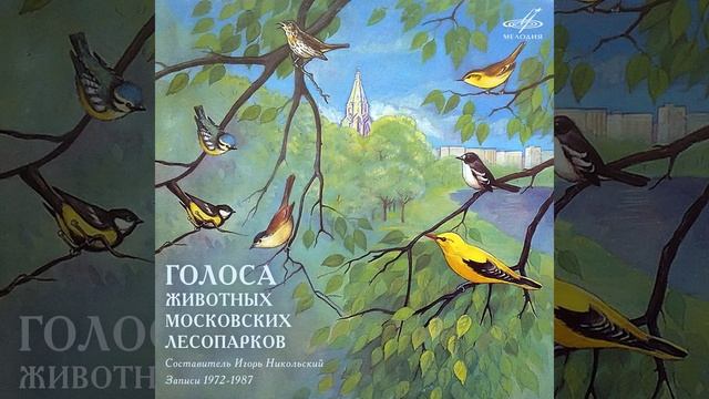 Пересмешка: Песня смотреть онлайн