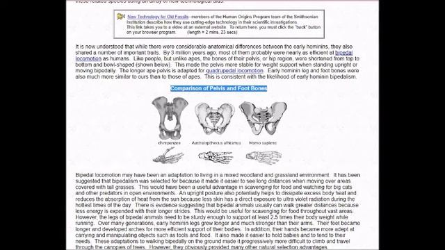 BIO Early Hominid Evolution ACTIVITY смотреть онлайн