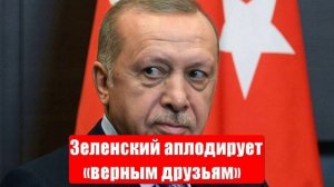 Эрдоган пошлет «фрегаты миротворцев» к Севастополю и Новороссийску