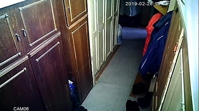 Магомед у собак неверных СКАЖИ КТО ТВОЙ ДРУГ я скажу кто ты смотреть онлайн