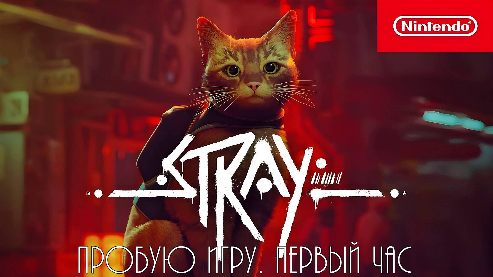 Stray gameplay #пробуюигру на #nintendoswitch #первыйчас