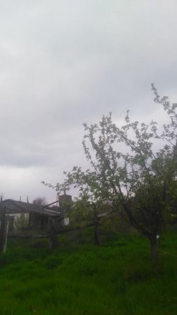 VID_20250410_165849