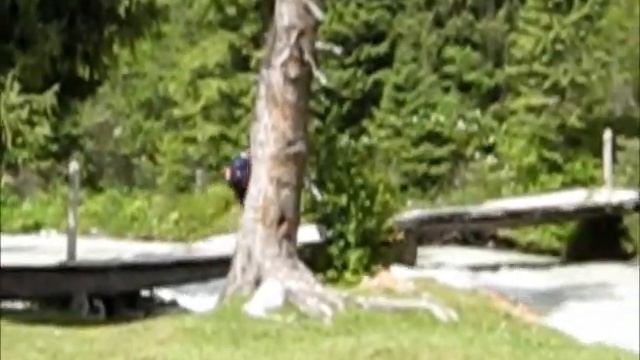 киргизия 2012 смотреть онлайн