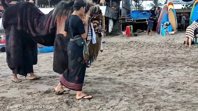PEMANDANGAN BERSELANCAR DI CANGGU || PANTAI BATU BOLONG BALI