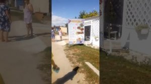 Доступные жилье в Урзуфе