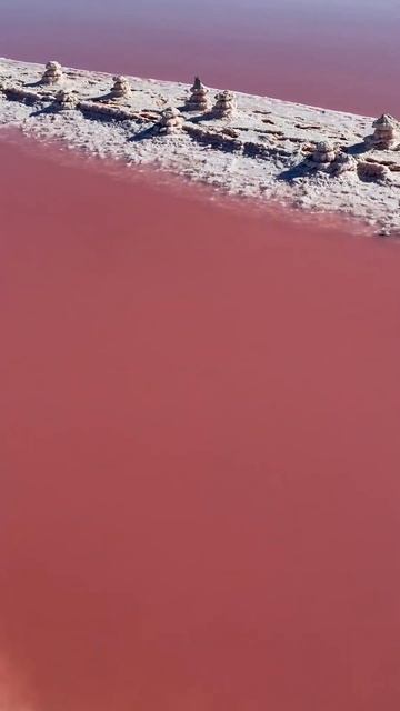 Розовое озеро Сасык-Сиваш 💖 #крым #розовоеозеро #евпатория #безфильтров смотреть онлайн