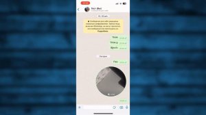Как записывать Кружочки в Ватсап на Айфоне