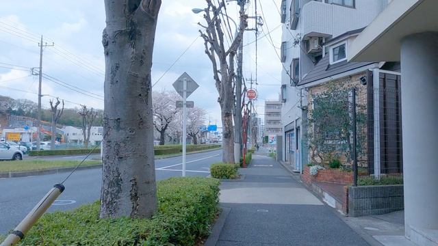 No.5724K和田東寺方東京都多摩市