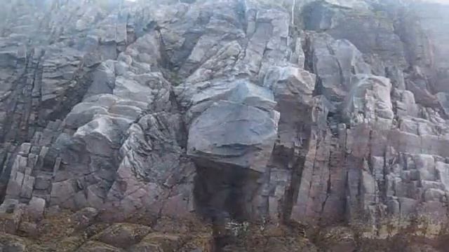 Bormotuha -      Fishinspector