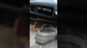 взял Даф 95ХF, краткий обзор