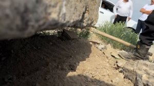 Лысый ежик - самый быстрый!