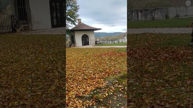 экспресс уборка листьев смотреть онлайн