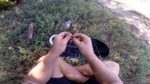 Закидушка на карпа