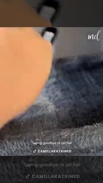 Fur parents, a brush can help you clean your pet's hair смотреть онлайн